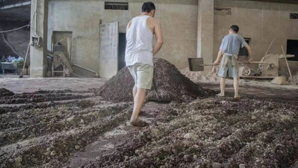 茅臺硅茅酒零售價與旅游開發項目策劃咨詢